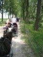 /album/menrit-04-06-2011/zeeuwse-menrit-juni-2011-022-jpg/
